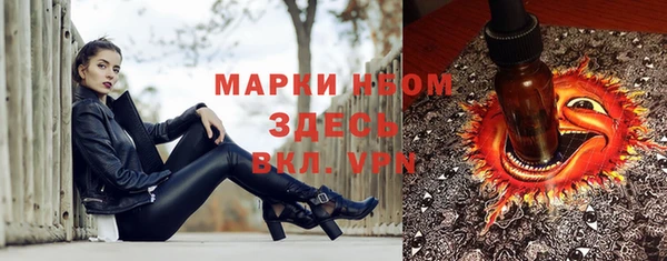 дмт Алексин