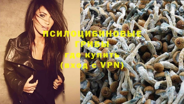 дмт Алексин