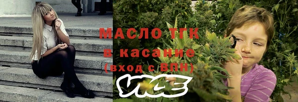 дмт Алексин