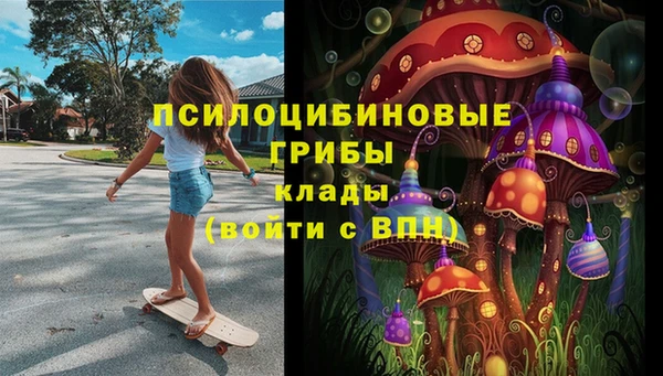 дмт Алексин