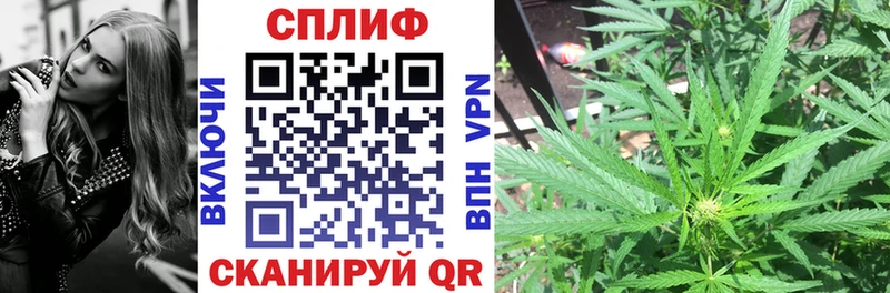 Марихуана сатива  Чердынь 